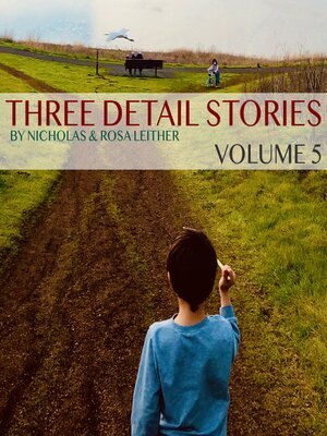 cover image of Three Detail Stories